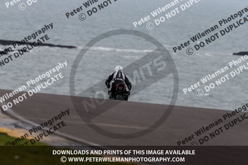 PJ Motorsport 2019;anglesey no limits trackday;anglesey photographs;anglesey trackday photographs;enduro digital images;event digital images;eventdigitalimages;no limits trackdays;peter wileman photography;racing digital images;trac mon;trackday digital images;trackday photos;ty croes